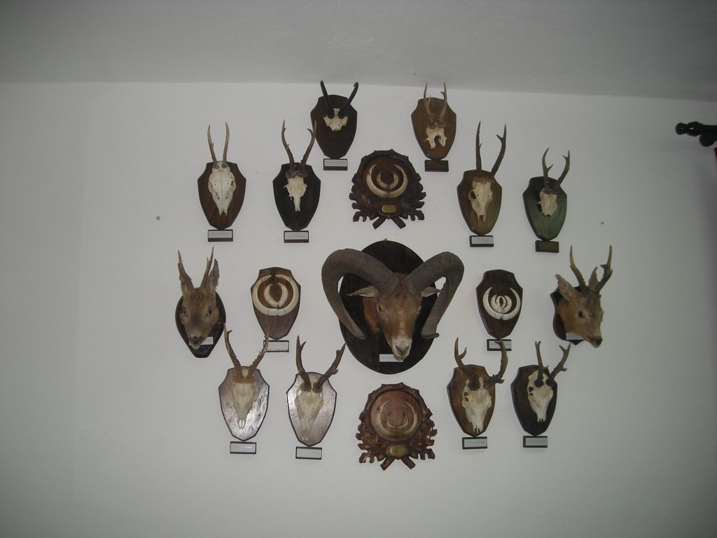 Lovački dom Lužnice